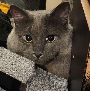 Meet your Posher, Hope